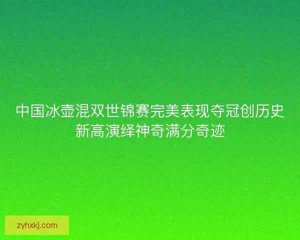 中国冰壶混双世锦赛完美表现夺冠创历史新高演绎神奇满分奇迹