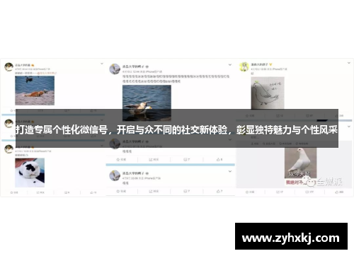 打造专属个性化微信号，开启与众不同的社交新体验，彰显独特魅力与个性风采