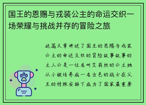 国王的恩赐与戎装公主的命运交织一场荣耀与挑战并存的冒险之旅