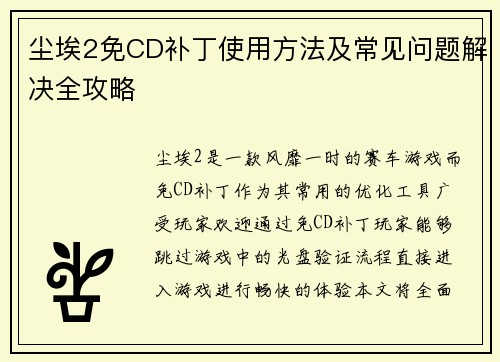 尘埃2免CD补丁使用方法及常见问题解决全攻略